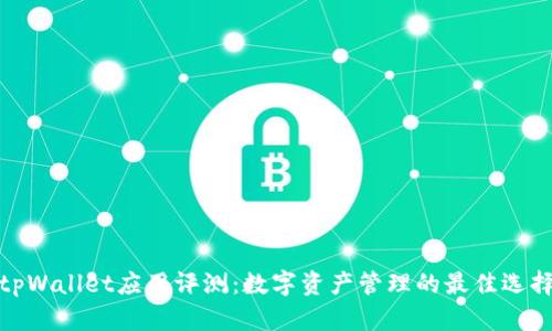 tpWallet应用评测:数字资产管理的最佳选择