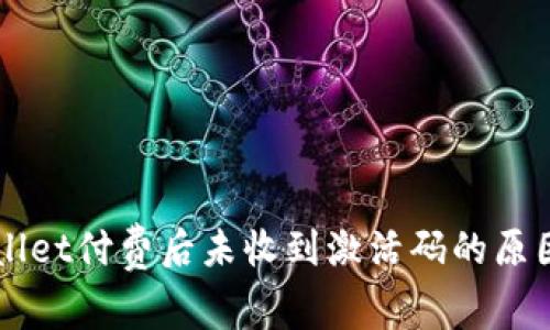 ### tpWallet付费后未收到激活码的原因及解决办法