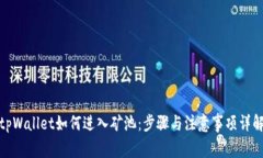 tpWallet如何进入矿池：步骤与注意事项
