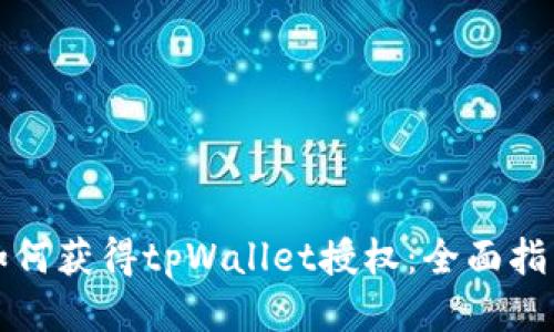如何获得tpWallet授权:全面指南