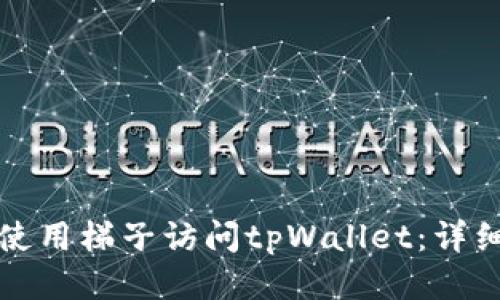 如何使用梯子访问tpWallet:详细指南
