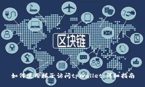 如何使用梯子访问tpWallet:详细指南