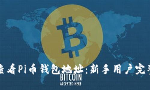 如何查看Pi币钱包地址:新手用户完整指南