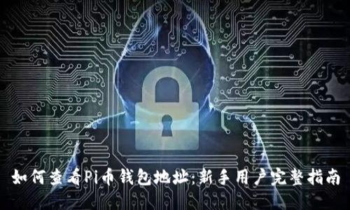如何查看Pi币钱包地址:新手用户完整指南