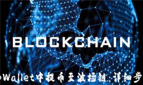 如何在tpWallet中提币至波场链:详细步骤与指南