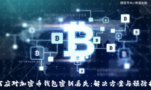 如何应对加密币钱包密钥丢失:解决方案与预防措施