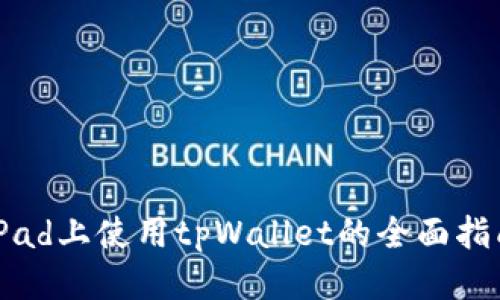 iPad上使用tpWallet的全面指南
