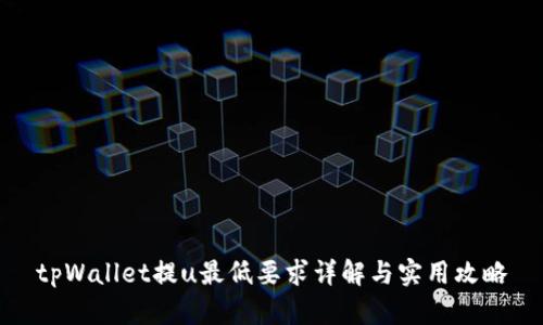 tpWallet提u最低要求详解与实用攻略