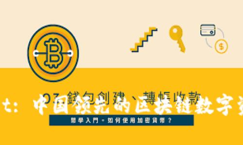 tpWallet: 中国领先的区块链数字资产钱包
