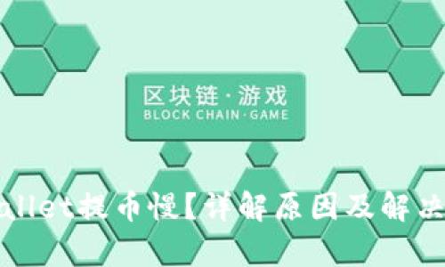 tpWallet提币慢?详解原因及解决方案