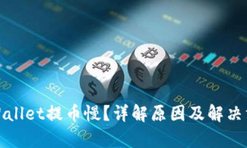 tpWallet提币慢?详解原因及解决方案