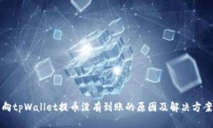 向tpWallet提币没有到账的原因及解决方