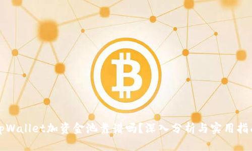 tpWallet加资金池靠谱吗?深入分析与实用指南