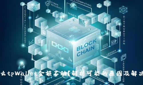 为什么tpWallet金额不动?解析可能的原因及解决方案