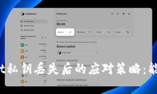 tpWallet私钥丢失后的应对策略：能否找回？