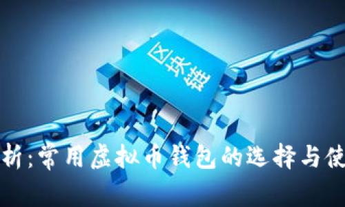 全面解析:常用虚拟币钱包的选择与使用指南