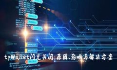 tpWallet闪兑关闭：原因、影响与解决方