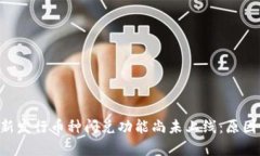  tpWallet新发行币种闪兑功能尚未上线：