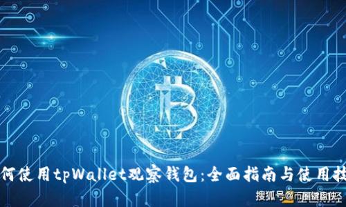 如何使用tpWallet观察钱包:全面指南与使用技巧