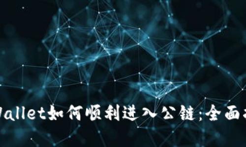 tpWallet如何顺利进入公链:全面指南