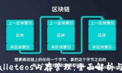 tpWalleteos内存管理：全面解析与策略