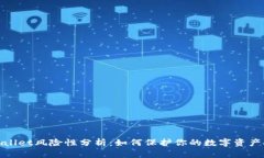 tpWallet风险性分析：如何保护你的数字