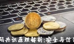 区块链密码共识原理解析：安全与信任