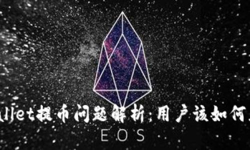 tpWallet提币问题解析:用户该如何应对?