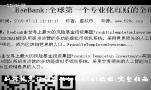 如何恢复误删除的tpWallet数据:完整指南
