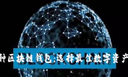 探索100种区块链钱包:选择最佳数字资产管理工具