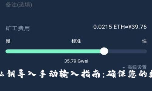 : tpWallet私钥导入手动输入指南:确保您的数字资产安全